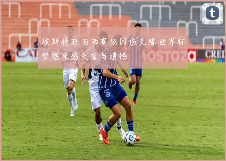埃斯特旺泪洒赛场因伤无缘世界杯梦想深感失落与遗憾