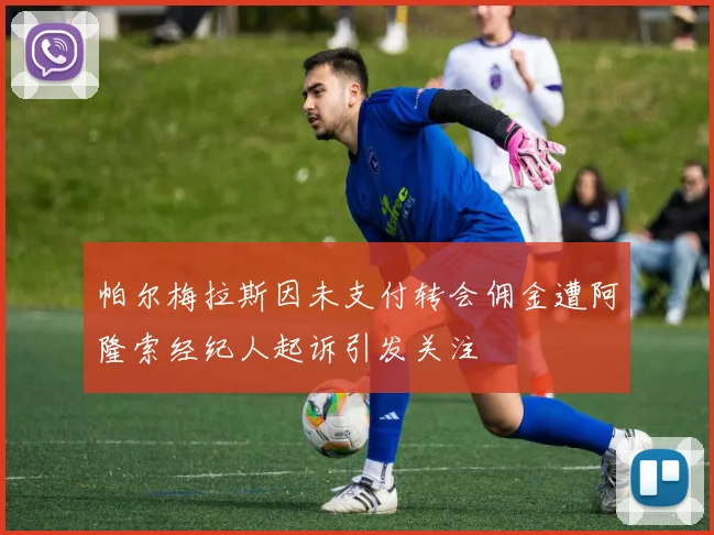 帕尔梅拉斯因未支付转会佣金遭阿隆索经纪人起诉引发关注