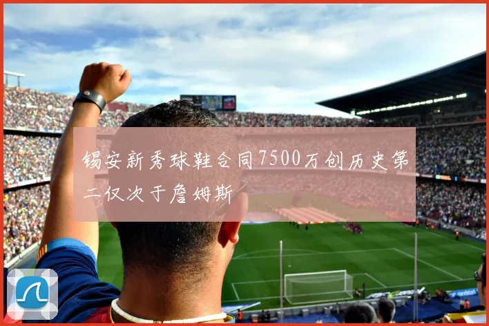 锡安新秀球鞋合同7500万创历史第二仅次于詹姆斯